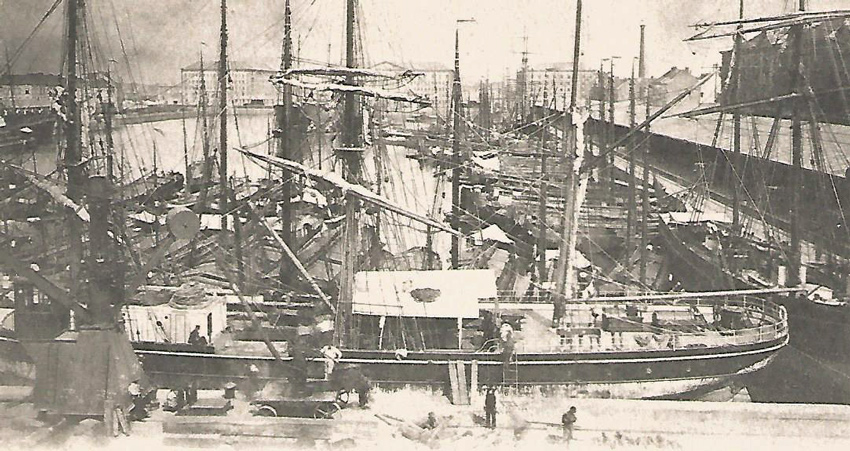 The Willem-dock at the beginning of the 20th c.